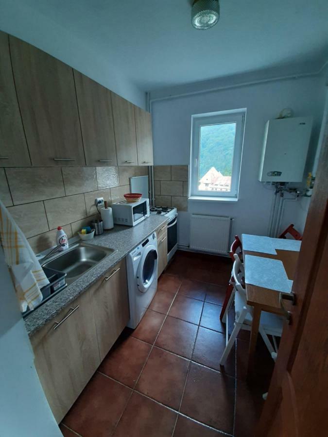 Lidia'S Apartment Sinaia Zewnętrze zdjęcie