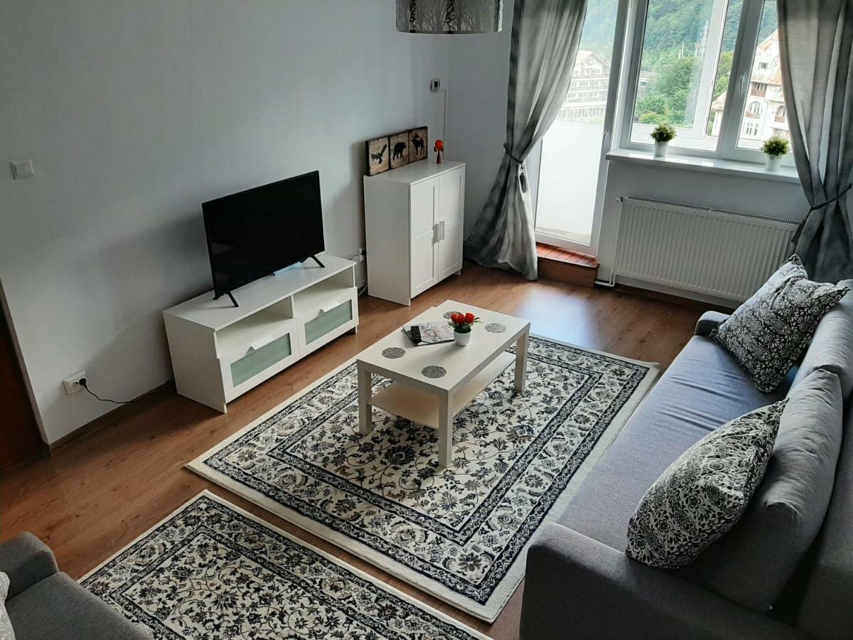 Lidia'S Apartment Sinaia Zewnętrze zdjęcie