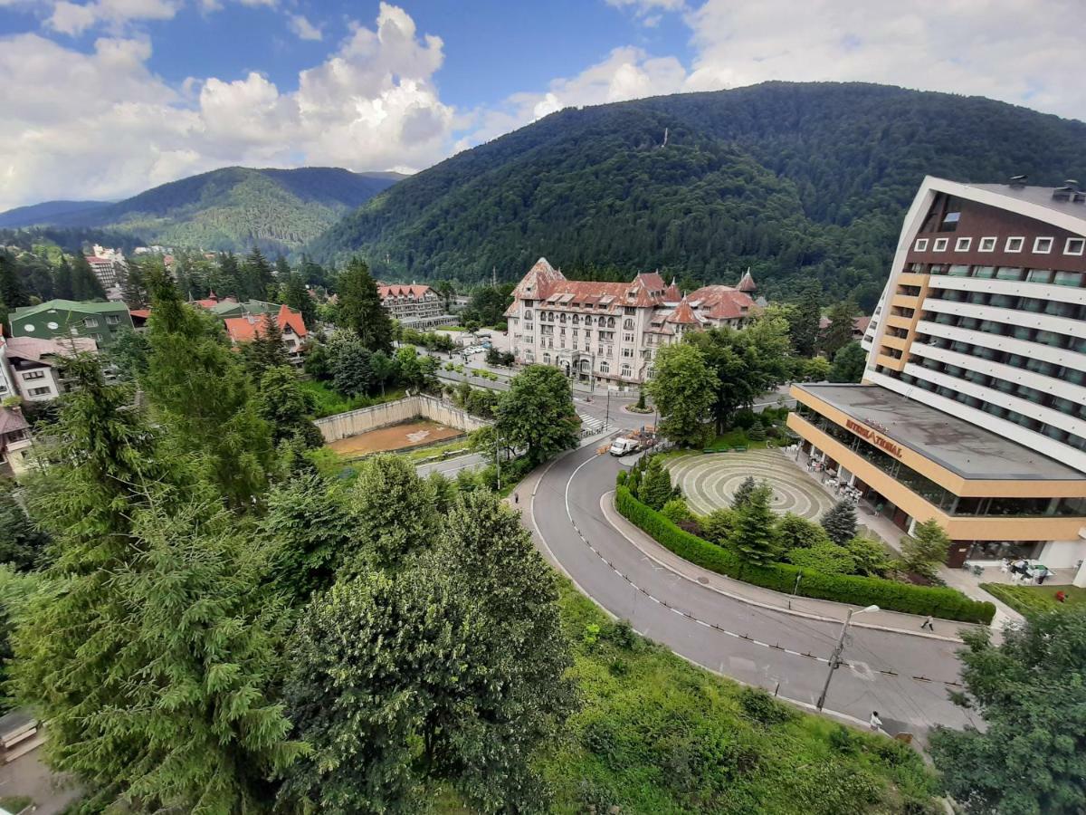 Lidia'S Apartment Sinaia Zewnętrze zdjęcie