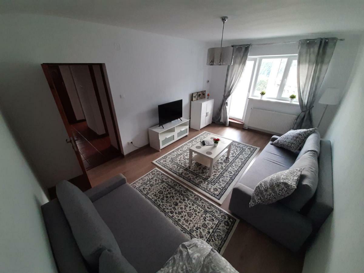 Lidia'S Apartment Sinaia Zewnętrze zdjęcie